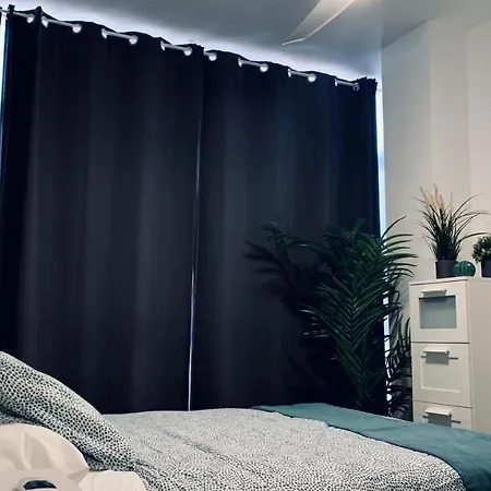 Palm * Лас-Пальмас-де-Гран-Канарія