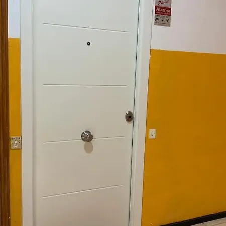 Palm * 大加那利岛拉斯帕尔马斯