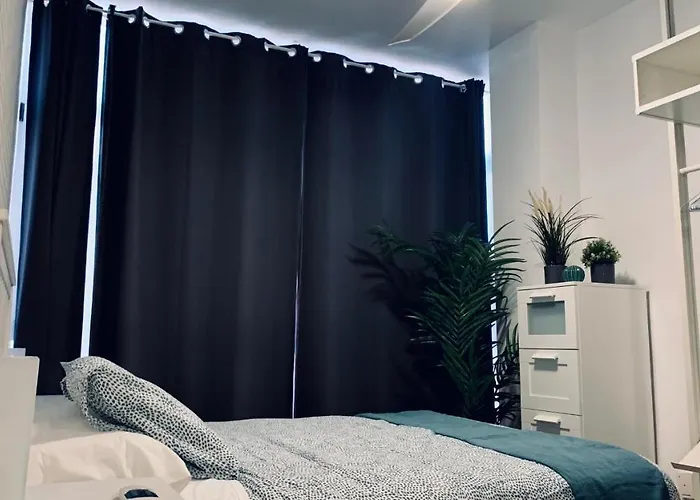 Palm * Las Palmas de Gran Canaria