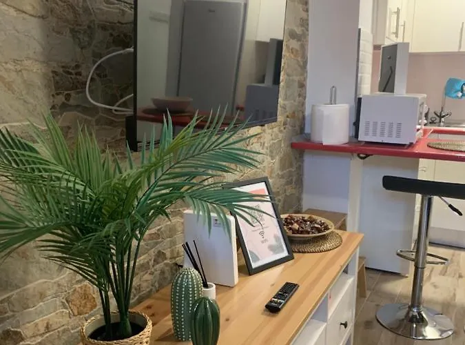 Palm * Las Palmas de Gran Canaria