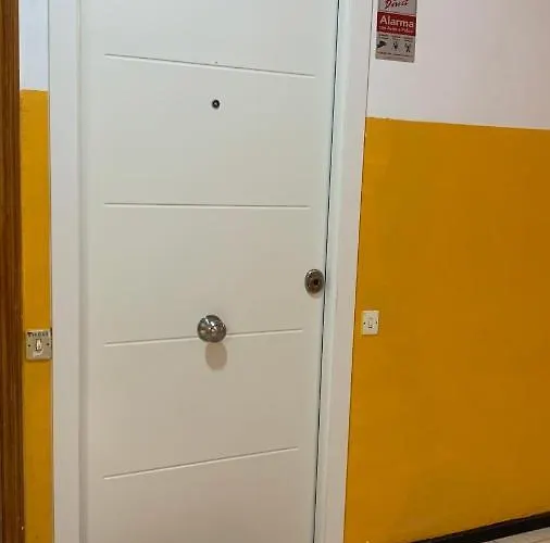 Palm * Las Palmas de Gran Canaria