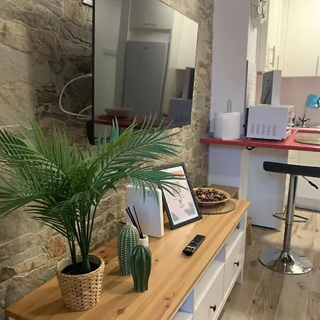 Palm * 라스팔마스